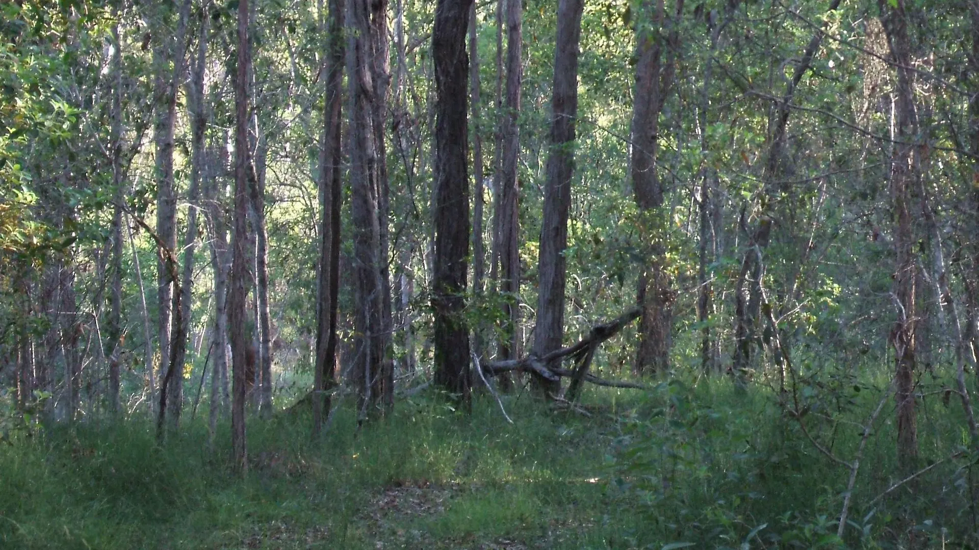 Bungadoo Country Cottage Bullyard 0*,  Australia